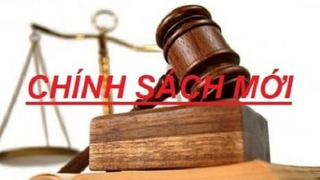 Quyết liệt thực hiện các chính sách, chế độ cán bộ theo Nghị định 178/2024/NĐ-CP và 67/2025/NĐ-CP