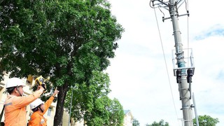 EVNHANOI tổ chức lại mô hình công ty điện lực theo đơn vị hành chính mới