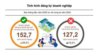 Báo cáo tình hình Kinh tế - xã hội quý II và 6 tháng đầu năm 2025 của Cục Thống kê