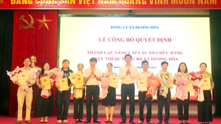 Đảng ủy xã Dương Hòa công bố Quyết định thành lập, nâng cấp các tổ chức cơ sở Đảng