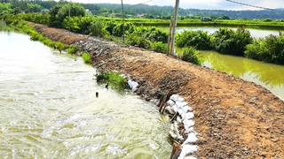 Tăng cường công tác đảm bảo an toàn đê điều ứng phó bão số 3 và mưa lũ