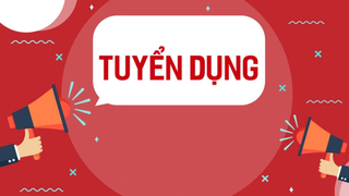 Kế hoạch Hỗ trợ, giải quyết việc làm cho người lao động 6 tháng cuối năm 2025