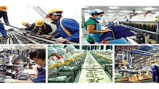 Triển khai Kế hoạch hành động phát triển kinh tế tư nhân