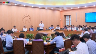 Sớm ban hành Nghị quyết hỗ trợ chuyển đổi phương tiện xanh