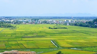 Tổ chức thực hiện công tác bồi thường, hỗ trợ, tái định cư khi Nhà nước thu hồi đất để thực hiện các dự án trên địa bàn Thành phố
