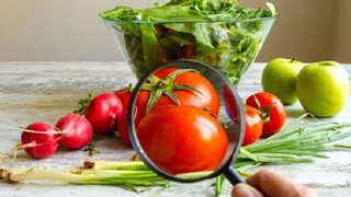 Đảm bảo an toàn thực phẩm phục vụ đợt cao điểm các hoạt động kỷ niệm 80 năm Cách mạng tháng Tám và Quốc khánh 2/9