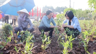 Phó Chủ tịch Thường trực HĐND Thành phố Phùng Thị Hồng Hà tham gia tổng vệ sinh môi trường tại phường Lĩnh Nam