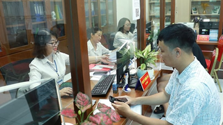 Triển khai thực hiện chính sách theo Nghị định số 178/2024/NĐ-CP về tổ chức lại đơn vị hành chính
