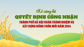 Thành phố Hà Nội hoàn thành nhiệm vụ xây dựng Nông thôn mới năm 2024