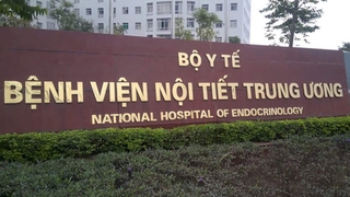 Cho Bệnh viện Nội tiết Trung ương điều chỉnh hình thức sử dụng đất