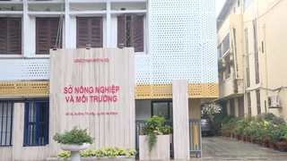 Quy định chức năng, nhiệm vụ, quyền hạn và cơ cấu tổ chức của Sở Nông nghiệp và Môi trường