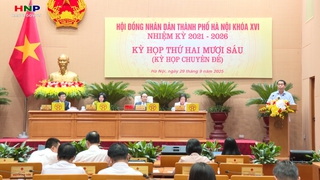 Ủy quyền giải quyết thủ tục hành chính lĩnh vực Tư pháp và Bảo trợ xã hội