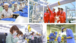 Phát triển thị trường lao động gắn với chuyển đổi số, chuyển đổi xanh