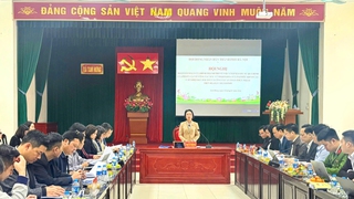 Giám sát việc chấp hành các quy định của pháp luật về công tác bầu cử đại biểu Quốc hội và đại biểu HĐND các cấp tại xã Tam Hưng