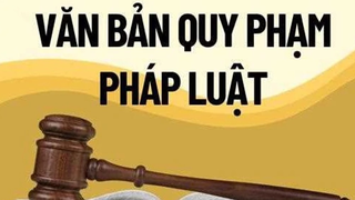 Theo dõi chặt chẽ việc thi hành văn bản quy phạm pháp luật trong lĩnh vực an toàn thực phẩm và đầu tư, kinh doanh
