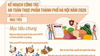 Tăng cường trách nhiệm quản lý nhà nước về an toàn thực phẩm ở các cấp từ Thành phố đến cơ sở