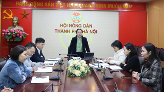 Hội Nông dân Thành phố thực hiện quy trình giới thiệu cán bộ Hội tham gia ứng cử đại biểu HĐND Thành phố