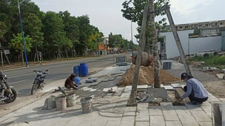 Tạm dừng thi công đào đường, hè các công trình trên địa bàn Thành phố