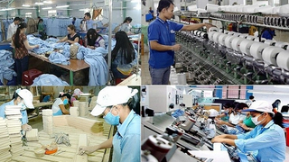 Triển khai các chính sách hỗ trợ quy định về một số cơ chế, chính sách đặc biệt phát triển kinh tế tư nhân