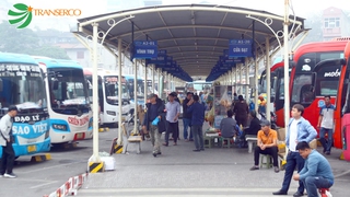 Transerco vận hành gần 50.000 lượt xe buýt trong 9 ngày nghỉ Tết