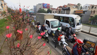 Duy trì hoạt động vận tải thông suốt trong dịp Tết Nguyên đán Bính Ngọ và mùa Lễ hội xuân năm 2026