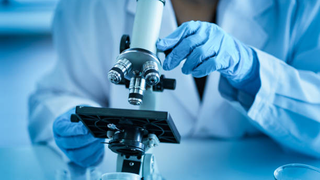 Phối hợp tổ chức Cuộc thi nghiên cứu khoa học, kỹ thuật cấp quốc gia dành cho học sinh THCS và THPT năm học 2025-2026