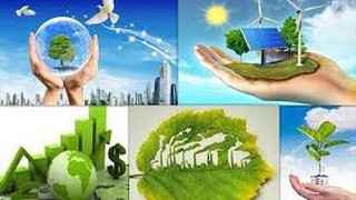 Phê duyệt quy trình nội bộ, quy trình điện tử giải quyết thủ tục hành chính lĩnh vực Môi trường