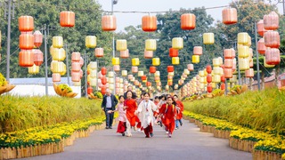 Rực rỡ đường hoa xuân tại Hoàng thành Thăng Long thu hút hơn 18.000 lượt khách dịp Tết Nguyên đán
