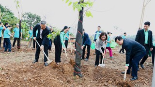 Hội Nông dân tích cực trồng cây đầu Xuân, lan tỏa nông dân Thủ đô trong bảo vệ môi trường