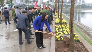 Phường Cầu Giấy phát động Tết trồng cây, chung tay kiến tạo đô thị xanh bền vững