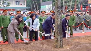 Chủ tịch HĐND thành phố Hà Nội Phùng Thị Hồng Hà dự Tết trồng cây tại Hà Đông