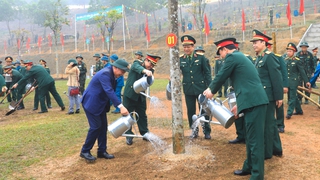 Điểm cầu Trung đoàn 692: Trồng mới hơn 1.700 cây xanh