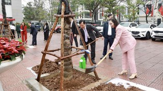 Phường Dương Nội: Trồng cây xanh để xây dựng đô thị hài hòa với thiên nhiên