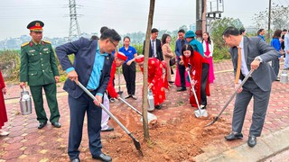 Xã Đại Thanh phát động Tết trồng cây, khởi công tuyến đường liên xã
