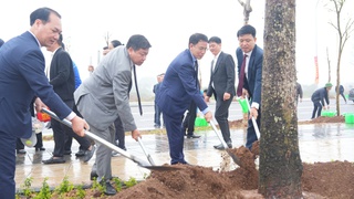 Phó Bí thư Thường trực Thành ủy Nguyễn Trọng Đông dự Lễ phát động “Tết trồng cây đời đời nhớ ơn Bác Hồ” tại xã Đông Anh