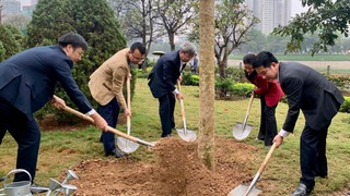 Phường Thanh Xuân phát động “Tết trồng cây đời đời nhớ ơn Bác Hồ” Xuân Bính Ngọ 2026