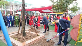 Xã Thanh Oai: Phấn đấu trồng mới 2.000 cây xanh