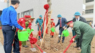 Phường Định Công phát động “Tết trồng cây” Xuân Bính Ngọ 2026