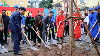 Phường Tương Mai: Trồng cây xanh bảo vệ môi trường, nâng cao chất lượng cuộc sống