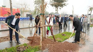 Phường Yên Nghĩa: Phát động Tết trồng cây, lan tỏa thông điệp đô thị xanh