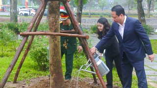 Phường Hai Bà Trưng phát động Tết trồng cây Xuân Bính Ngọ