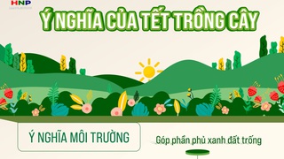 Ý nghĩa của Tết trồng cây