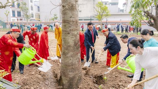 Phường Phúc Lợi phát động “Tết trồng cây đời đời nhớ ơn Bác Hồ” xuân Bính Ngọ 2026