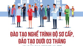 Triển khai Kế hoạch đào tạo nghề trình độ sơ cấp và dưới 03 tháng năm 2026