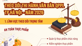 Theo dõi việc thi hành văn bản QPPL về an toàn thực phẩm và đầu tư, kinh doanh