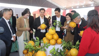 Hà Nội tổ chức không gian trưng bày sản phẩm tiêu biểu gắn kết Hội chợ hoa xuân Tết Bính Ngọ 2026 - Đẩy mạnh quảng bá hàng Việt