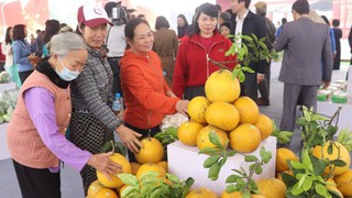 Đưa sản phẩm làng nghề, hình ảnh quê hương Đông Anh đến du khách