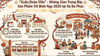 Hà Nội tổ chức Không gian trưng bày sản phẩm Tết 