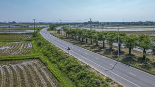 Tạm thông xe đường trục phía Nam gần 7km, giảm áp lực giao thông dịp Tết