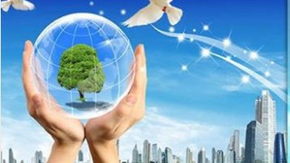 Phê duyệt nội dung văn kiện dự án Thúc đẩy hòa nhập người khuyết tật trong quản trị tài nguyên nước và thích ứng với biến đổi khí hậu tại Việt Nam